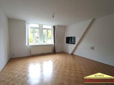 Terrassenwohnung mieten in 2565 Neuhaus (Bild 3)