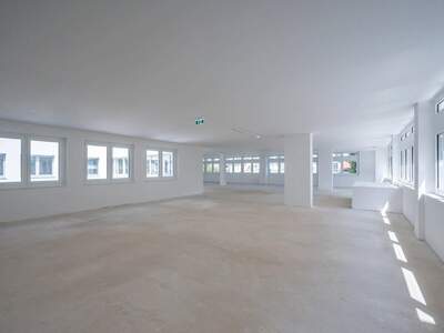 Gewerbeobjekt mieten in 1130 Wien