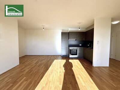 Terrassenwohnung mieten in 1100 Wien (Bild 3)