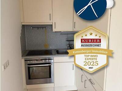 Terrassenwohnung mieten in 3500 Krems (Bild 5)