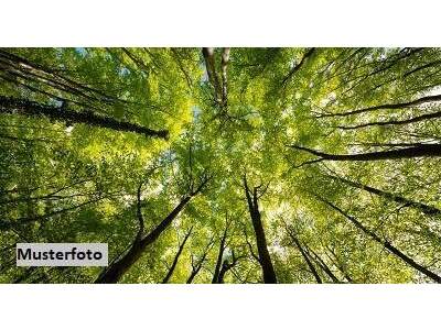 Gewerbeobjekt kaufen in 6236 Alpbach