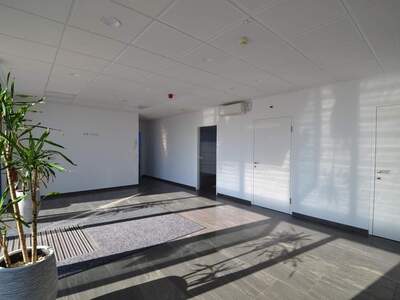 Gewerbeobjekt mieten in 3321 Ardagger