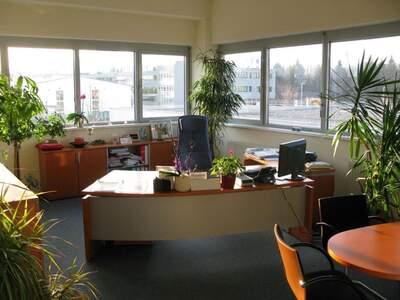 Einzelhandel kaufen in 5073 Wals (Bild 2)