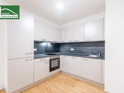 Terrassenwohnung mieten in 1200 Wien (Bild 3)