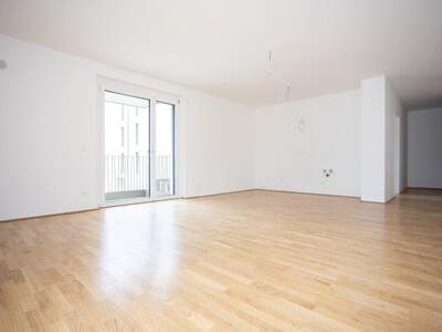 Terrassenwohnung kaufen in 2700 Wr. Neustadt (Bild 3)