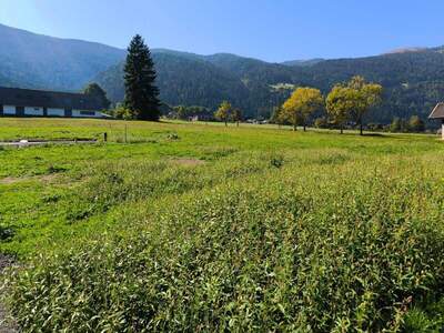 Grundstück kaufen in 9542 Afritz (Bild 3)