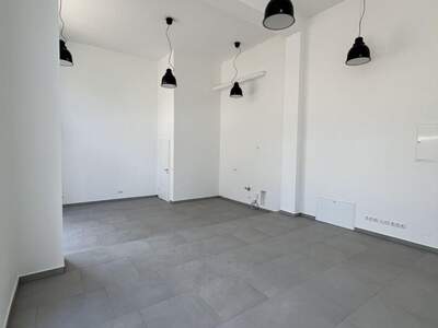 Gewerbeobjekt mieten in 1190 Wien (Bild 2)