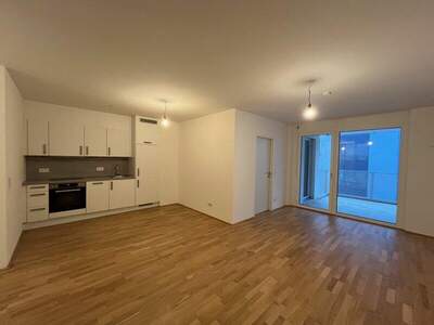 Terrassenwohnung mieten in 1160 Wien (Bild 1)