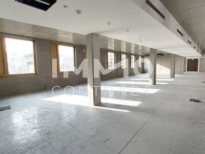 Gewerbeobjekt mieten in 1230 Wien