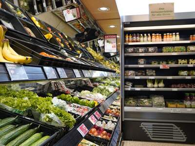 Gewerbeobjekt mieten in 4542 Nußbach (Bild 5)