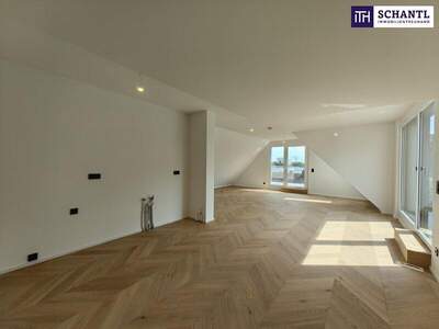 Terrassenwohnung kaufen in 1220 Wien (Bild 3)