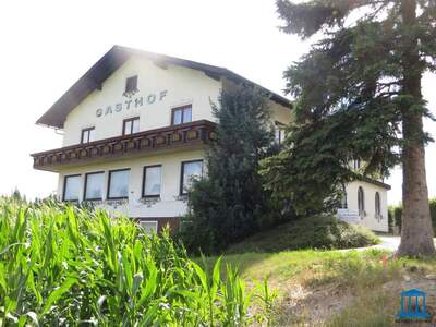 Gewerbeobjekt kaufen in 2873 Feistritz