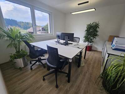 Gewerbeobjekt mieten in 5071 Wals (Bild 2)