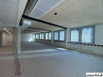 Gewerbeobjekt mieten in 1020 Wien (Bild 5)