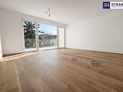 Terrassenwohnung kaufen in 2514 Traiskirchen (Bild 1)