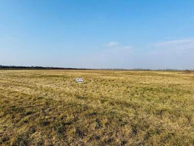 Grundstück kaufen in 2425 Nickelsdorf