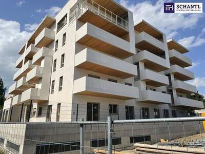 Wohnung mieten in 8075 Hart