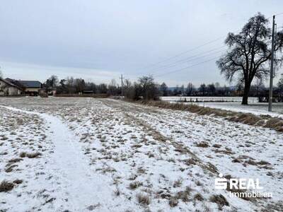 Grundstück kaufen in 4070 Pupping (Bild 4)