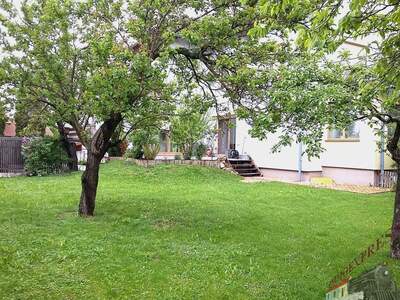 Haus mit Garten kaufen in 2485 Wimpassing (Bild 2)