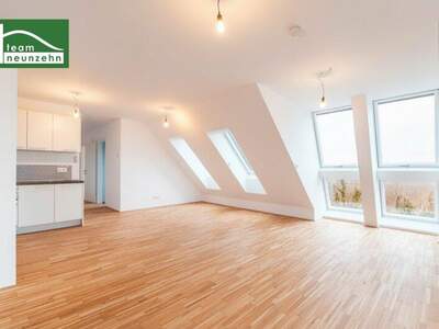 Terrassenwohnung mieten in 1220 Wien (Bild 1)