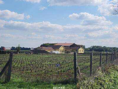 Gewerbeobjekt kaufen in 9771 Balogunyom (Bild 1)