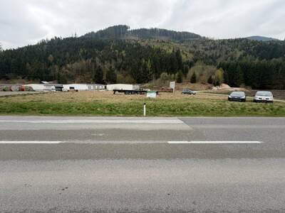 Grundstück kaufen in 8784 Trieben