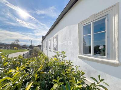 Bauernhaus kaufen in 3492 Grafenegg