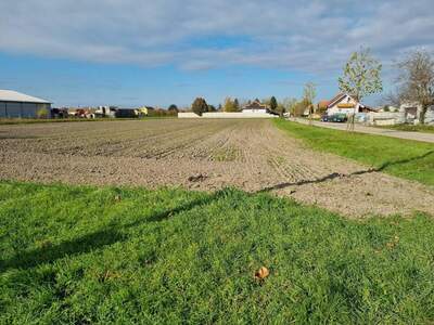 Grundstück provisionsfrei kaufen in 7162 Tadten