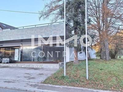 Gewerbeobjekt mieten in 4463 Grossraming