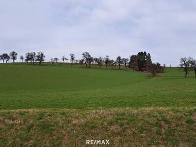 Grundstück kaufen in 3352 St. Peter