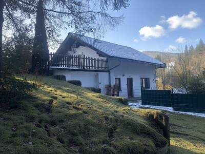 Haus kaufen in 8685 Steinhaus