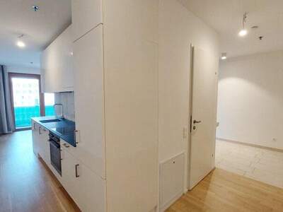 Terrassenwohnung mieten in 1100 Wien (Bild 2)