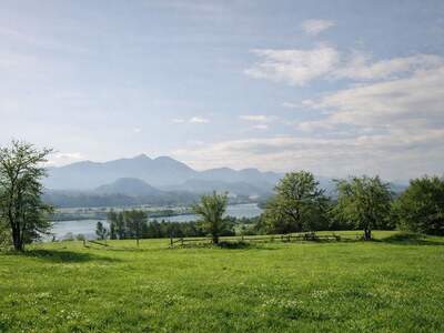 Grundstück kaufen in 9100 Völkermarkt (Bild 3)