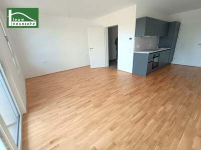Terrassenwohnung mieten in 3100 St. Pölten (Bild 2)