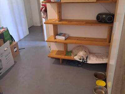 Wohnung provisionsfrei mieten in 1040 Wien