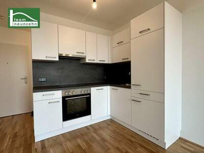 Terrassenwohnung mieten in 1220 Wien (Bild 4)