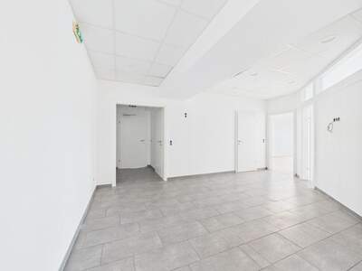Gewerbeobjekt mieten in 4221 Steyregg (Bild 2)
