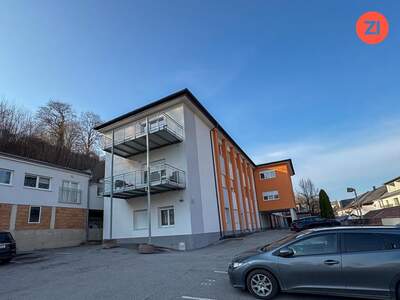 Mehrfamilienhaus kaufen in 4470 Enns