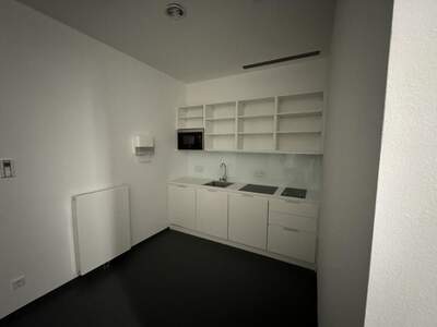 Gewerbeobjekt mieten in 1010 Wien (Bild 3)