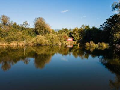 Haus kaufen in 6972 Fußach