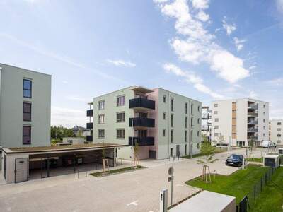 Terrassenwohnung kaufen in 2700 Wr. Neustadt (Bild 3)