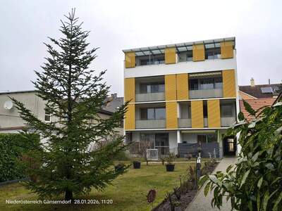 Wohnung provisionsfrei mieten in 2230 Gänserndorf