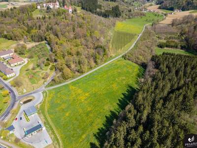 Gewerbeobjekt kaufen in 8333 Riegersburg (Bild 2)