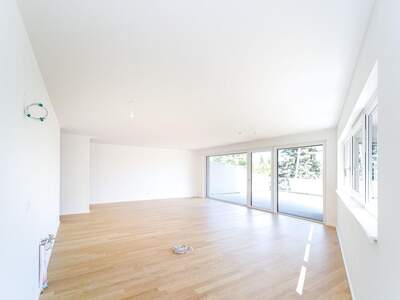 Anlageobjekt kaufen in 2345 Brunn (Bild 1)