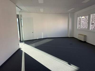 Gewerbeobjekt mieten in 1220 Wien (Bild 3)