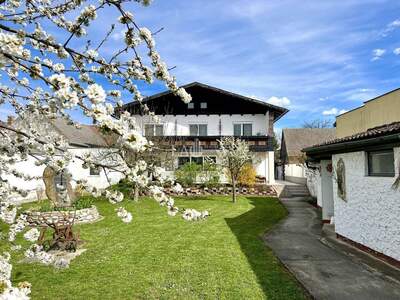 Haus kaufen in 3430 Trübensee