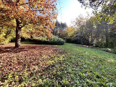 Einfamilienhaus kaufen in 3270 Scheibbs (Bild 4)