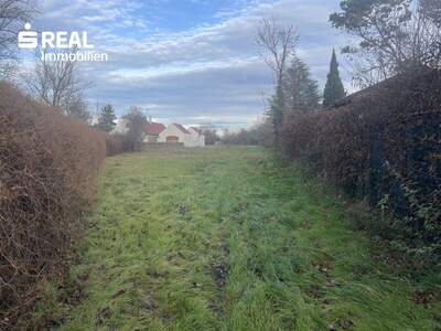 Grundstück kaufen in 7161 St. Andrä (Bild 1)