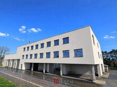 Gewerbeobjekt mieten in 8055 Graz