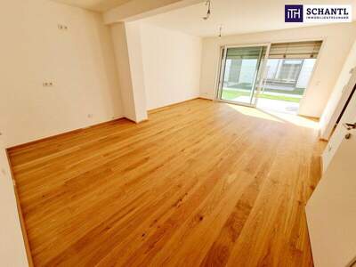 Terrassenwohnung kaufen in 1230 Wien (Bild 4)